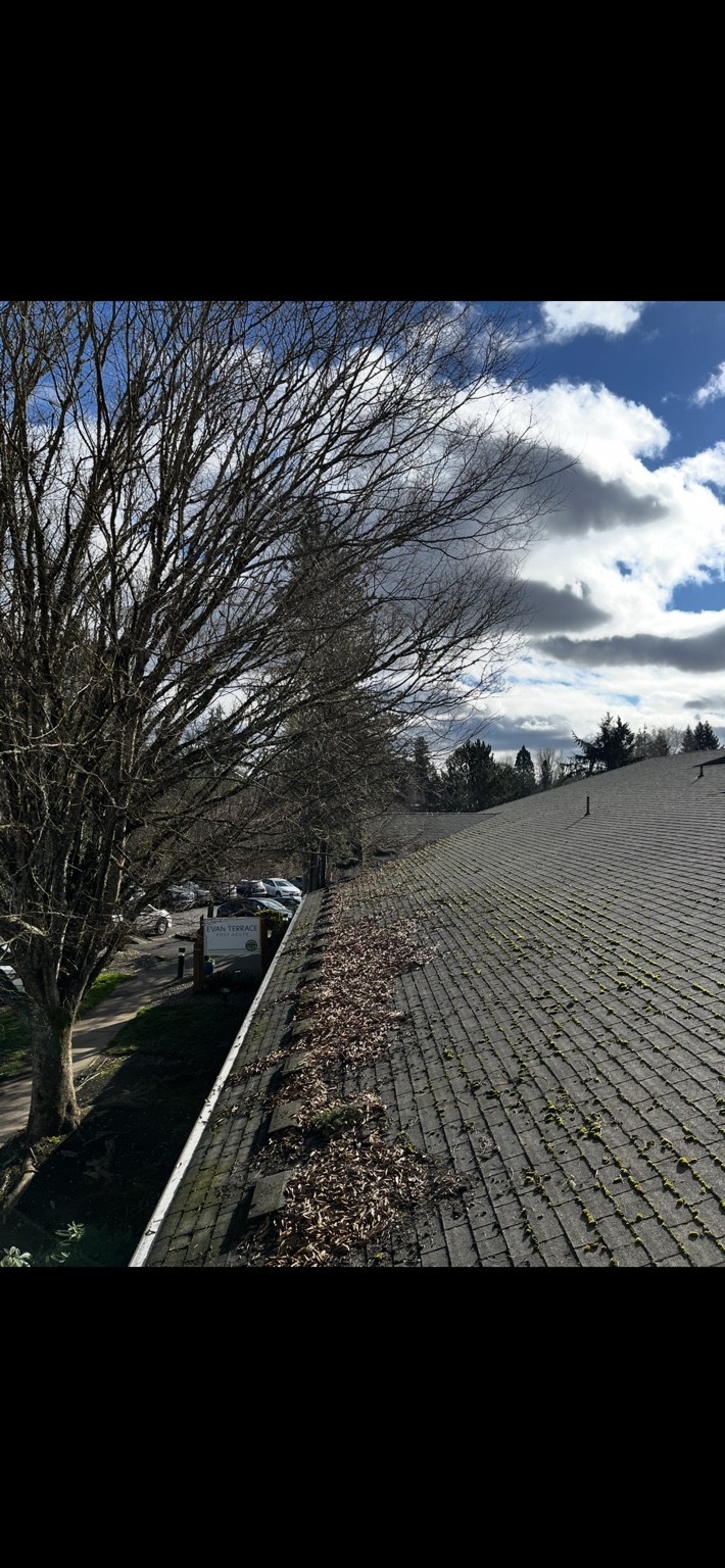 Roof maintenance needs and surrounding grounds at a managed property